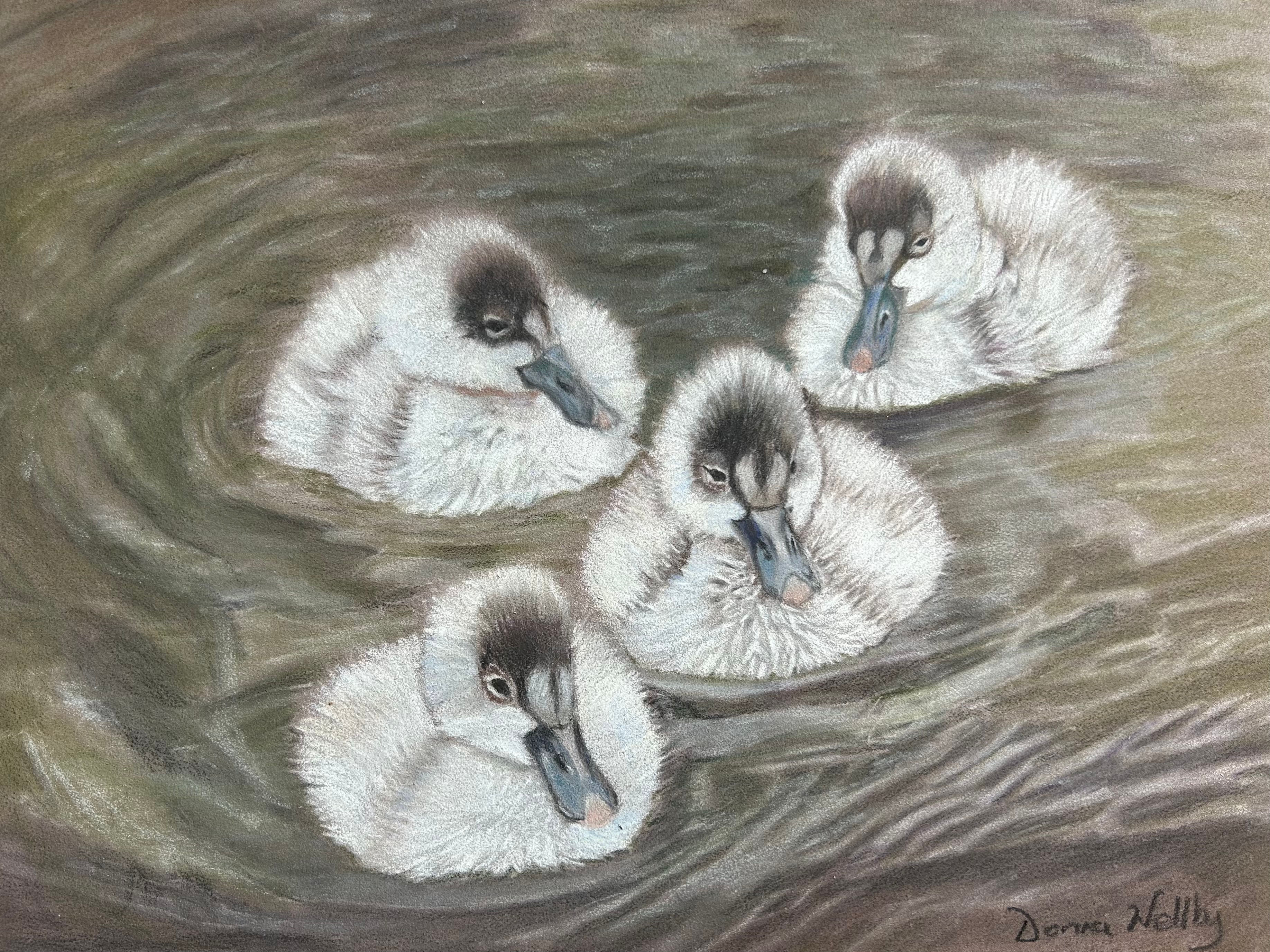 Cygnets