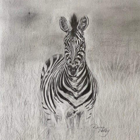 Mono Zebra