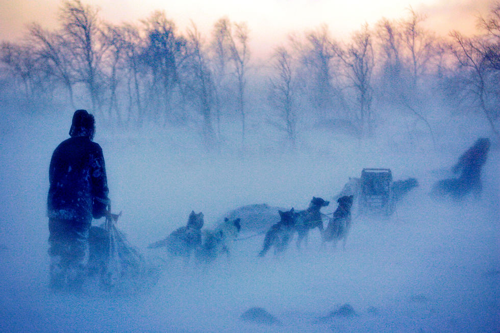 Mushing in storm