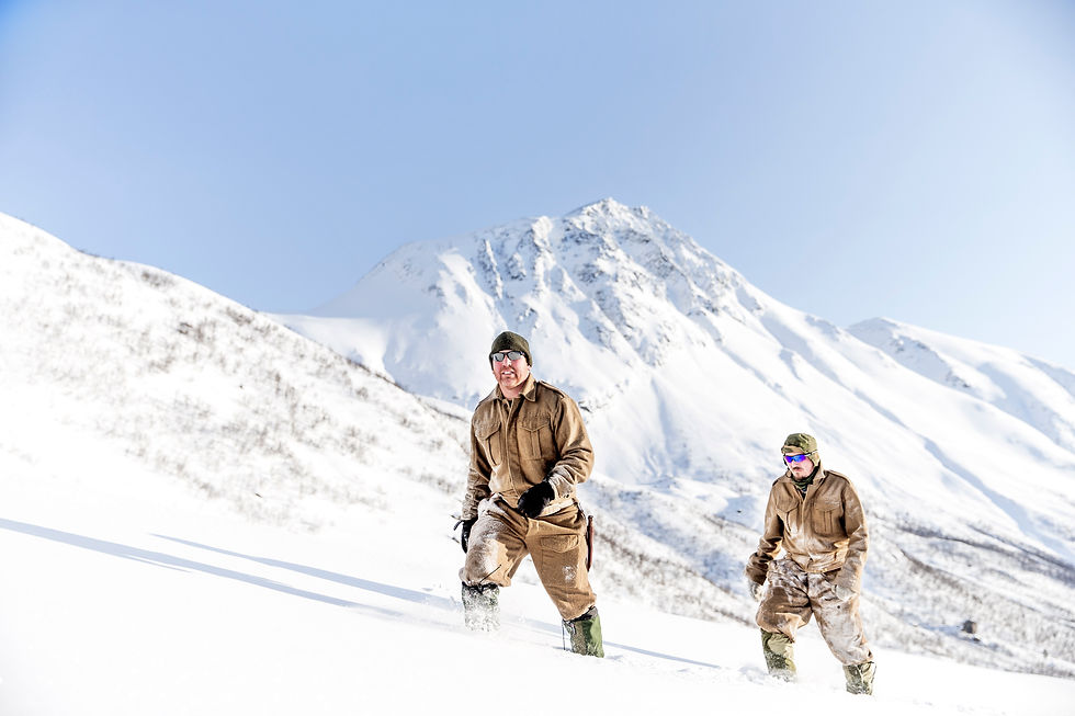 Ni liv in Lyngen apls