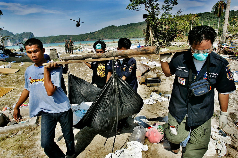 Tsunami, Thailand. Rescue workers