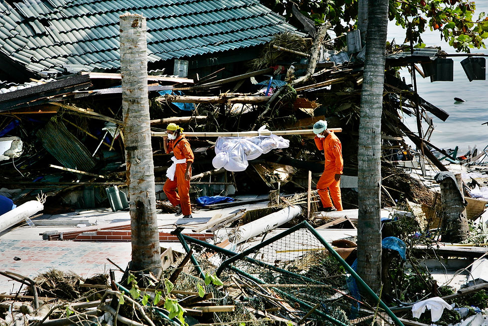 Tsunami. Phi Phi Island, Thailand