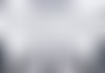 The United Nations Human Rights Council