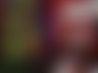 2025 Holiday Characters to Spot at Disneyland