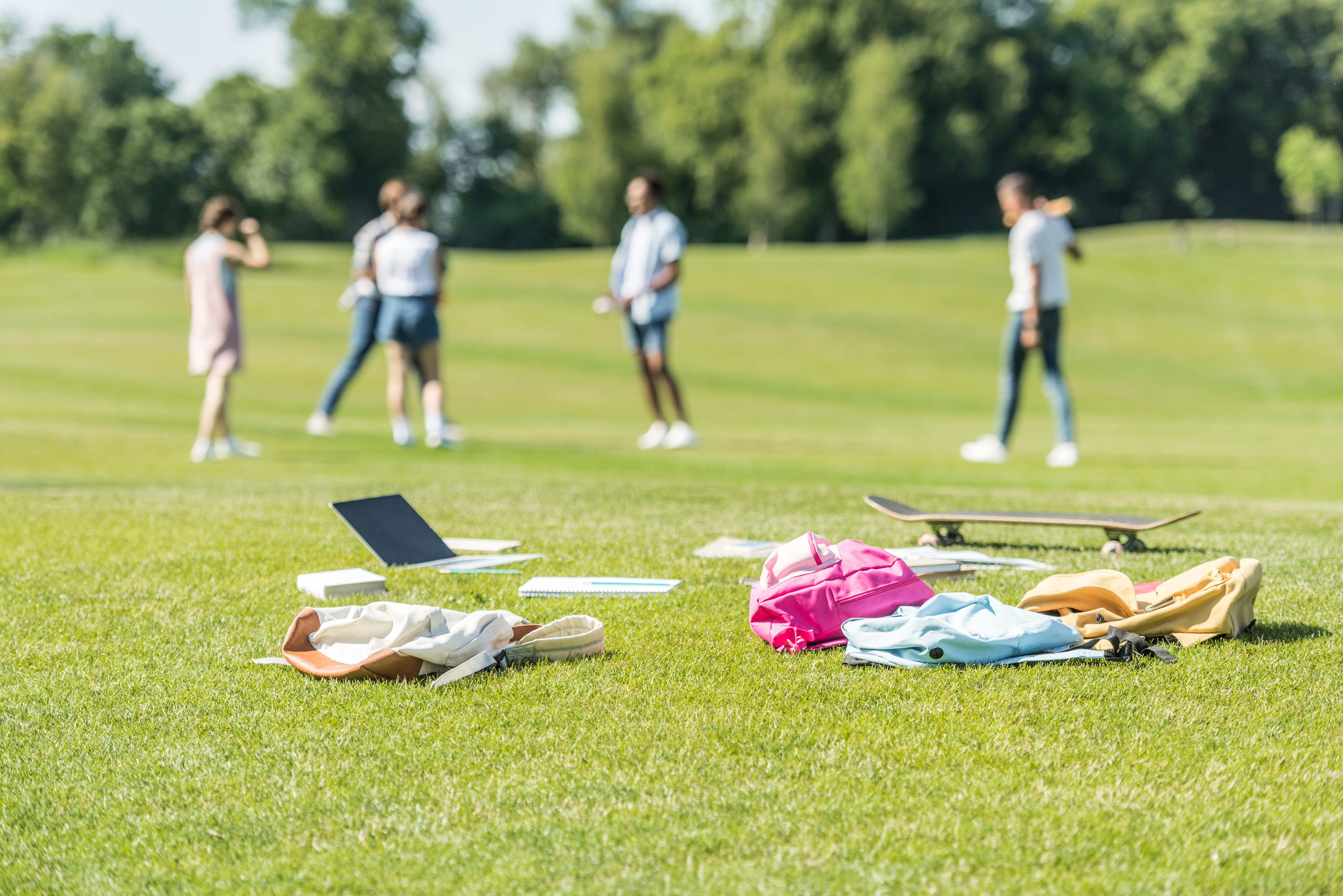 laptop-books-backpacks-and-skateboard-on-grass-a-2024-11-18-14-45-42-utc.jpg