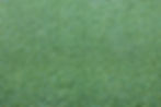 FACE WEIGHT : 50OZ PILE HEIGHT : 0.6" BACKING : DOUBLE PP PGA TOUR GRADE TWO TONE BLADE POLYETHYLENE 