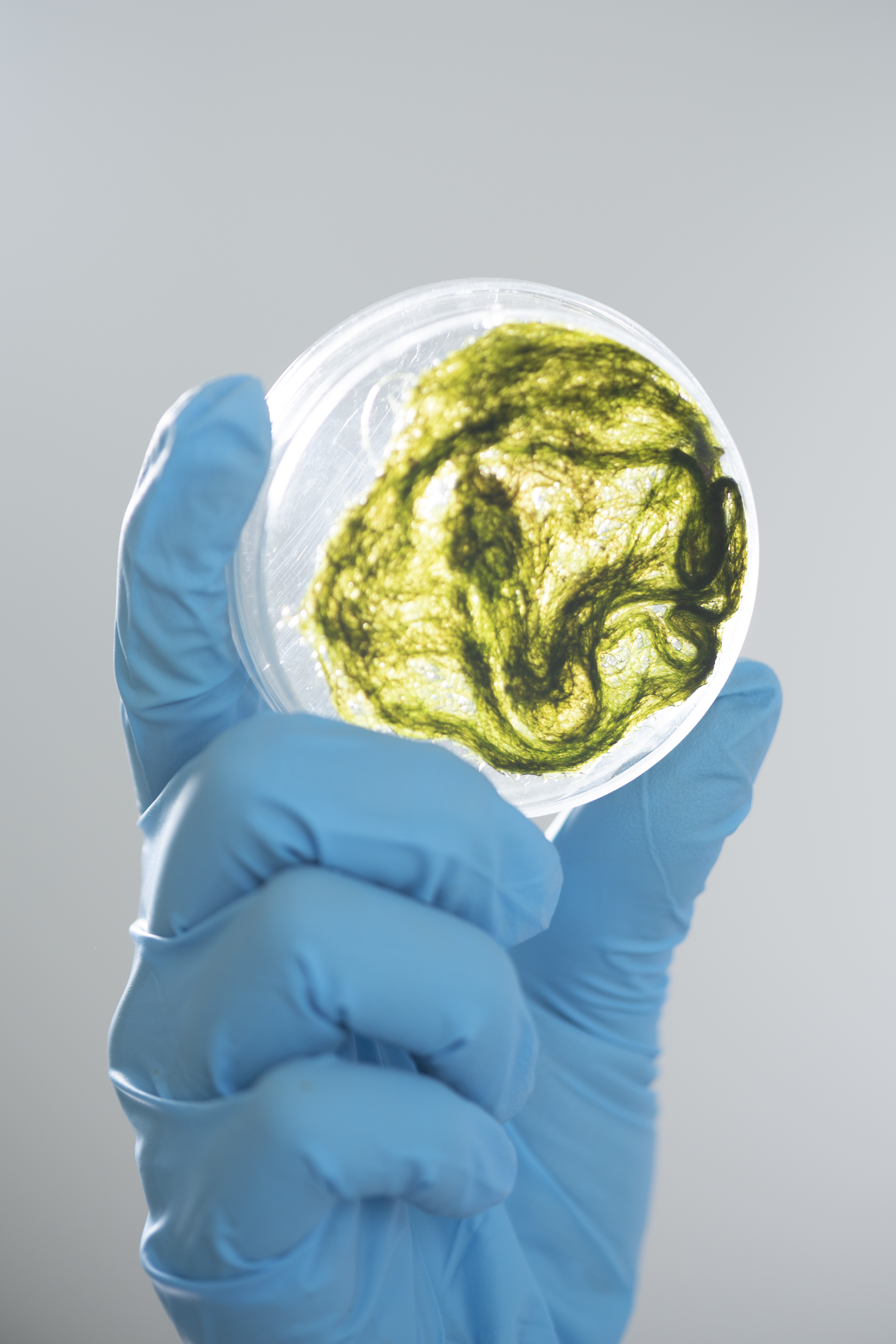 the-scientist-test-the-natural-product-extract-oi-2025-03-25-09-12-59-utc.jpg