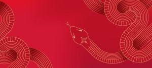 Year of The Snake banner