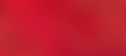 Year of The Snake banner