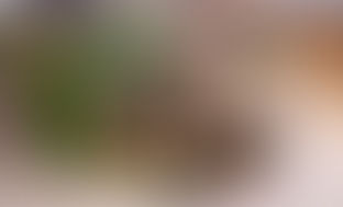 popup shop in Hong kong Mall