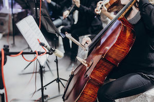 instument protection policy, musician coverage, music instruments hong kong