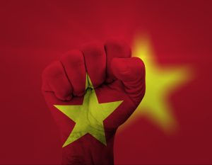 Viet Nam - Hanoi & Ho Chi Min City, vietnamese investment
