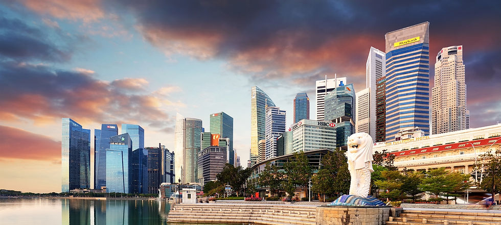 Red Asia Insurance- Singapore.jpg