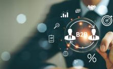 b2b company risks