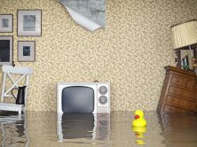 Home risks, household insurance