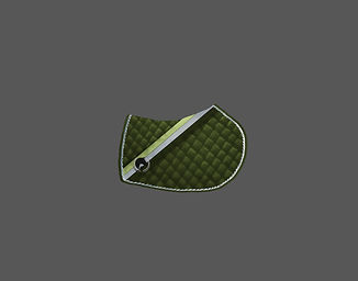 image9.jpeg