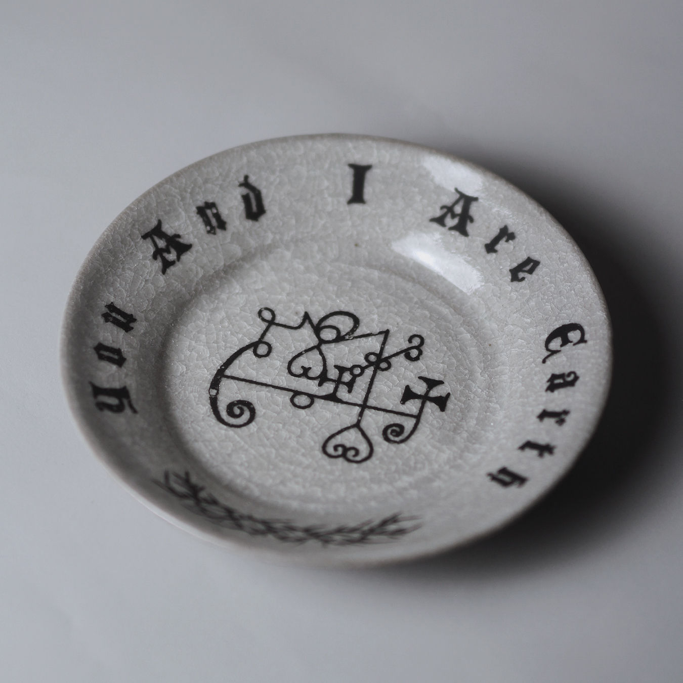 You and I are Earth Plate