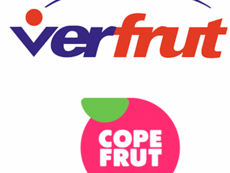 Copefrut y Verfrut unen sus fuerzas en China