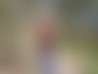 Just a Lovely Perfect Day.....20.04.19