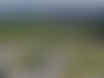 Infos Entrainement - Piste de Vesoul