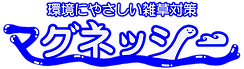 マグネッシー ロゴ 文字入り、フチあり、ひらがな.png