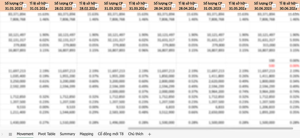 Investors Data Analysis on Excel