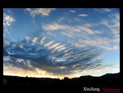 DSC_4507 copy