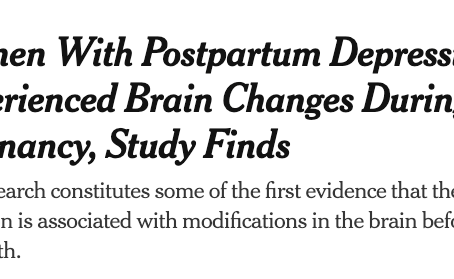 Sheila and Laura featured in a New York Times article about postpartum depression 🗞️