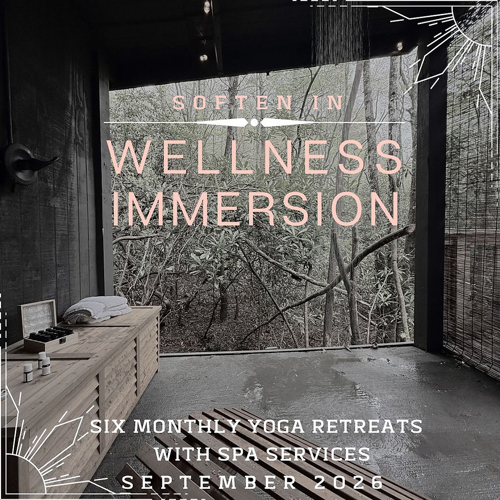 Wellness Immersion 2026