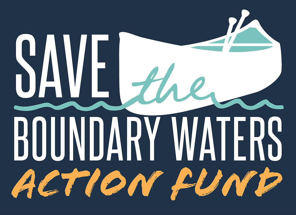 STBWAF Logo_NavyWhite.jpg