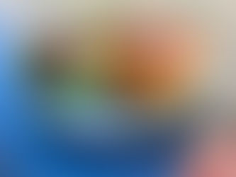 Nouveau Burger Nantes