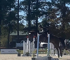 addison oct warhorse news flash.jpg