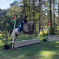 morgan warhorse newsflash oct.jpg