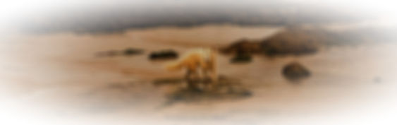 20221002_165333_edited.jpg