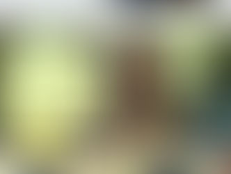 '나영춘' 정시아, 숙제검사 또 1등..영어에 푹 빠졌다