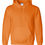 Thumbnail: BJLBS Cotton Hoodie- All team colors