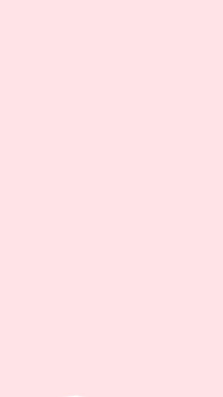 fondo rosa.jpg