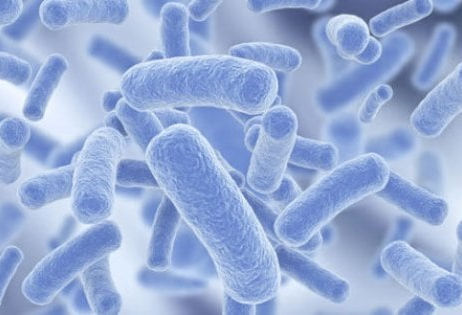 Strutture ricettive. Prevenire la legionella per ripartire in sicurezza.