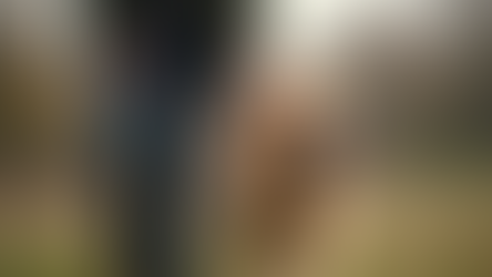 Understanding Certified Dog Trainer Benefits and Their Role