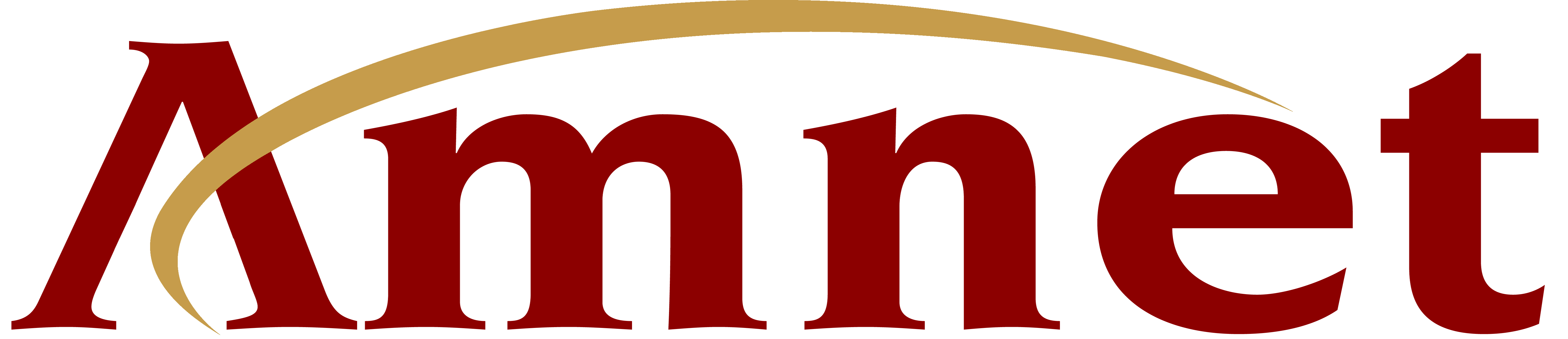 Amnet logo
