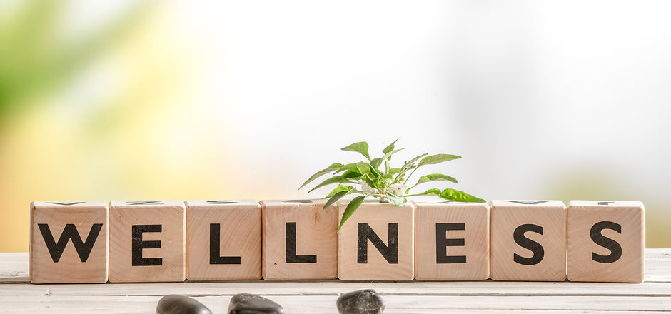 Wellness sign with wooden cubes and flowers and stones.jpg