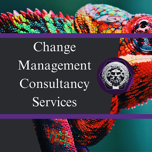 Change Management Consultancy Service website.png