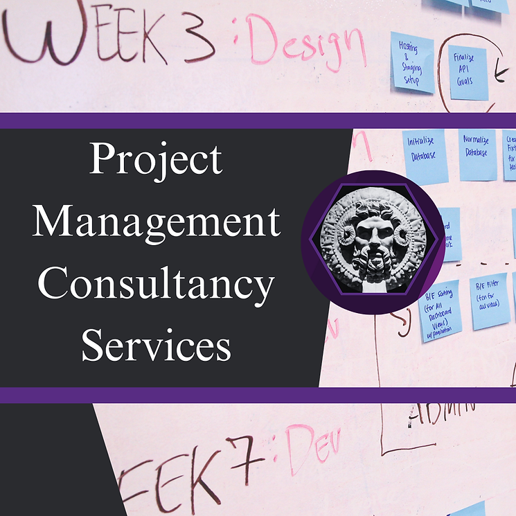 Project Management Consultancy Service.png