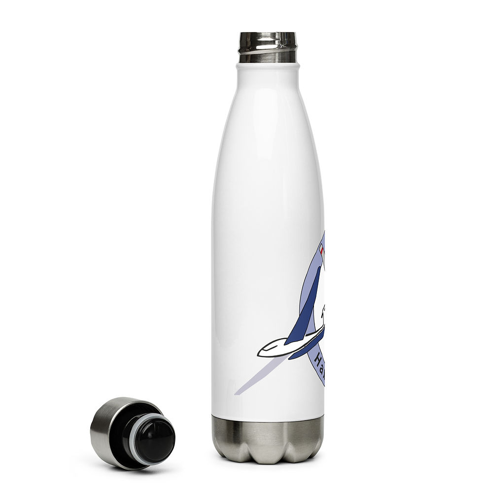 Miniaturbild: Stainless steel Thermo Wasserflasche