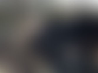 Les "Castors Juniors"