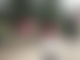 Les poneys du Père Noël