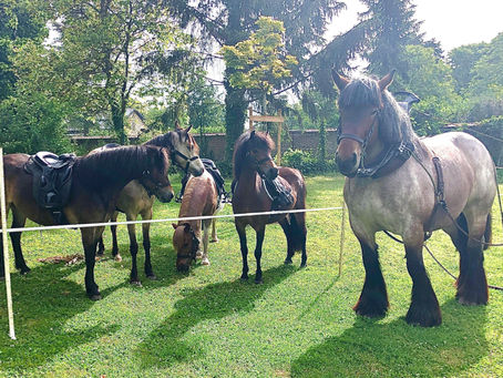 Une belle rencontre avec les Traits du Nord...