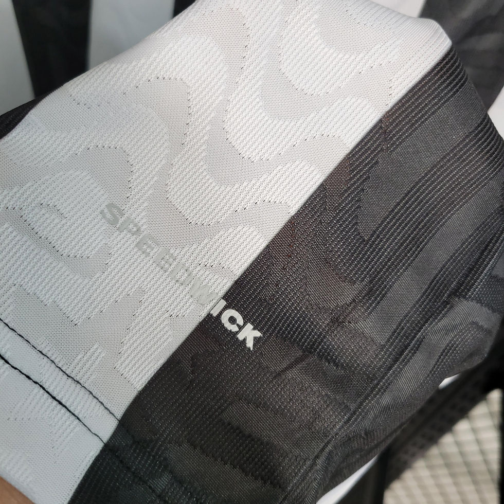 Miniatura: Camisa 1 Reebok Botafogo 2023/2024