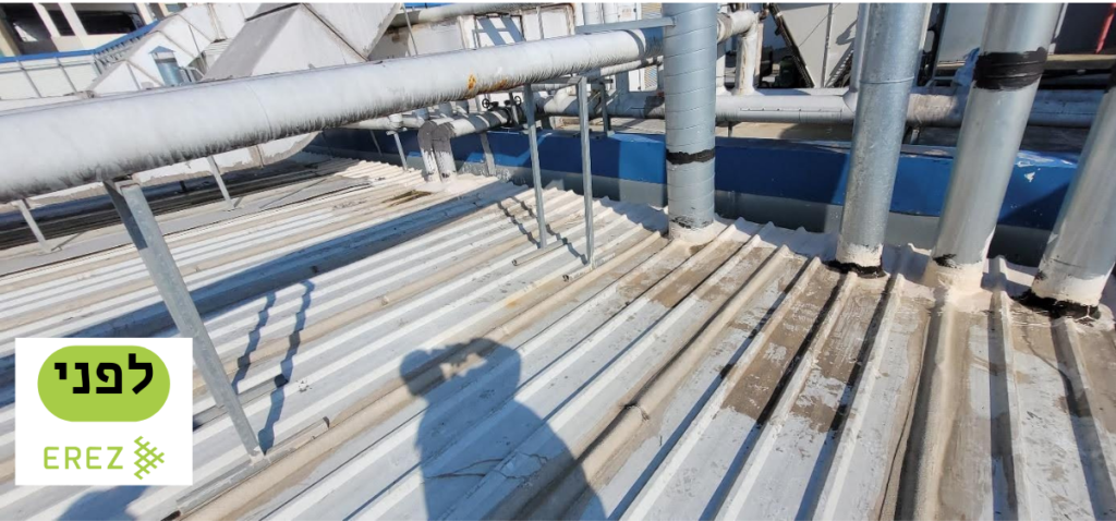 ארז איטום גגות לפני