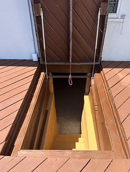 Cellar Painted Steps.HEIC